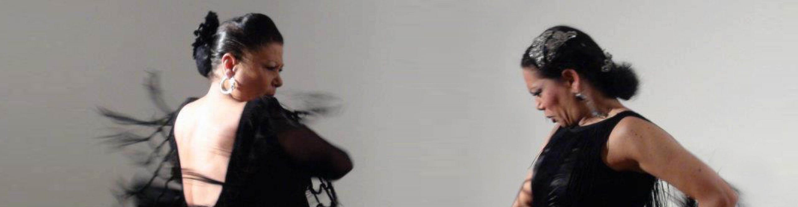 Parallax_Catedra_MariTati_1920x500px