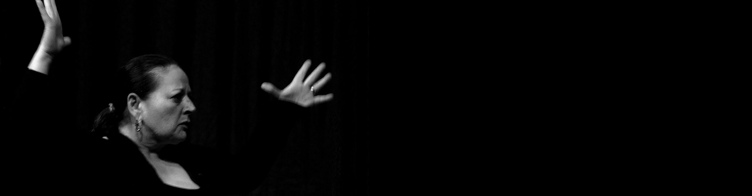 Parallax_Catedra_RenateNEU_1920x500px